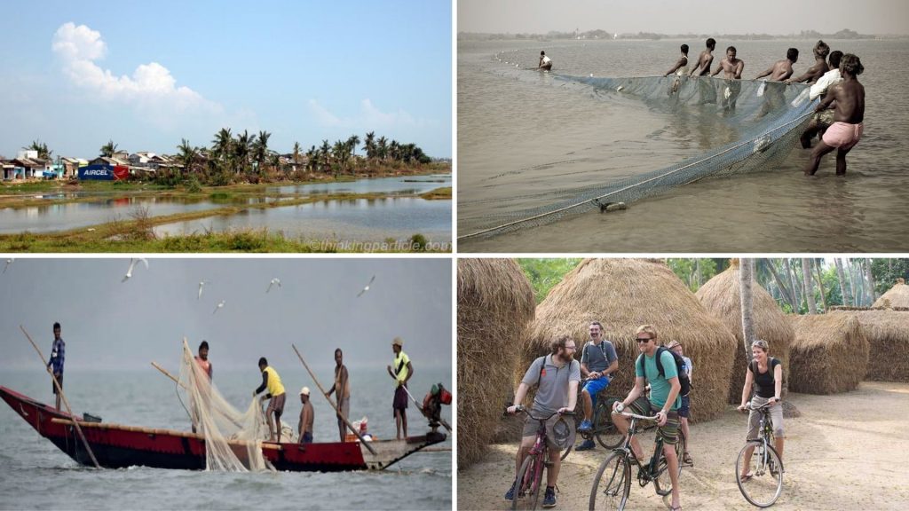 Why Chilika Lake Matters to the Local Communities