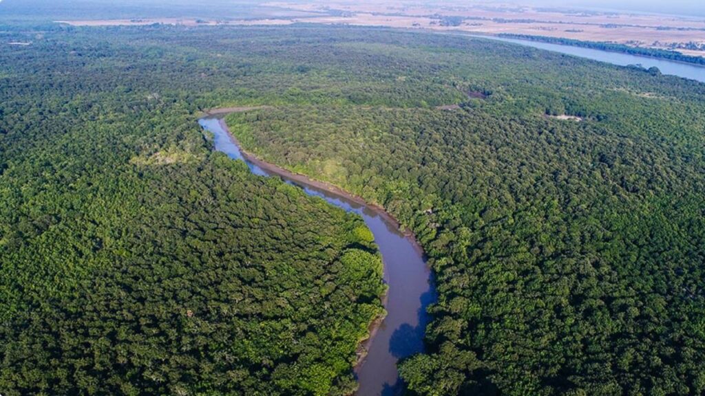 Bhitarkanika Aeriel View