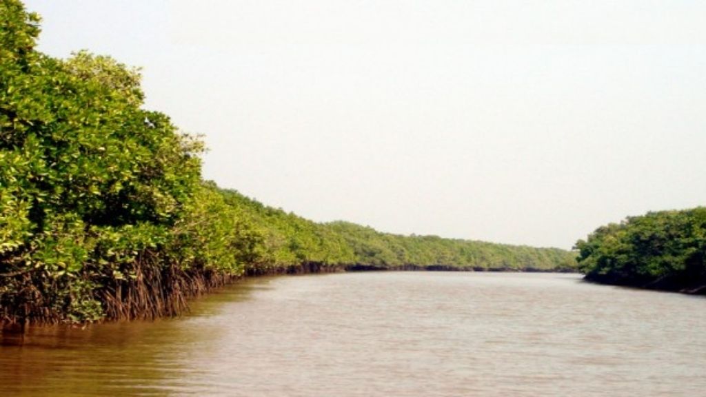 Bhitarkanika river