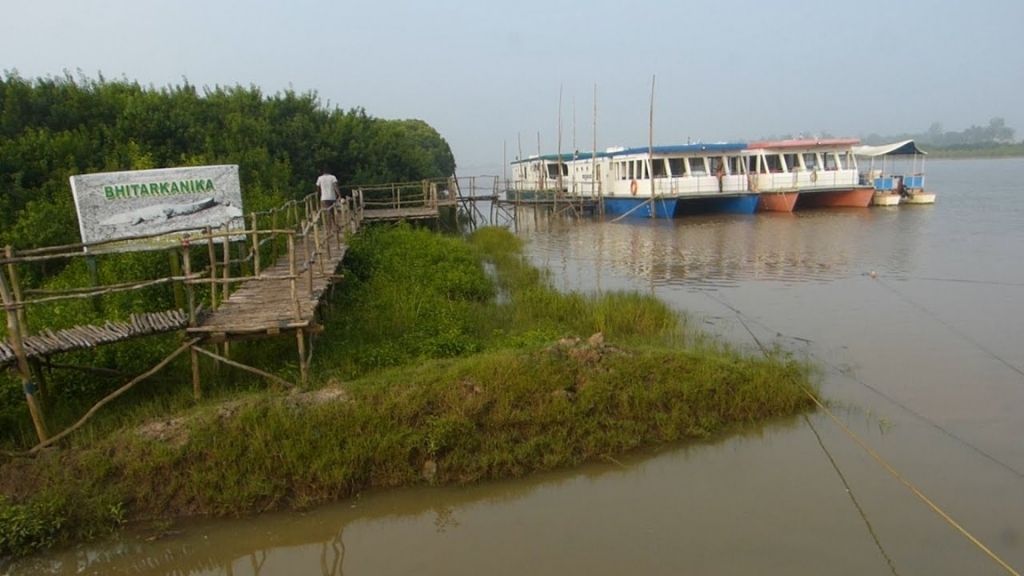 Boat ride in bhitarkanika 