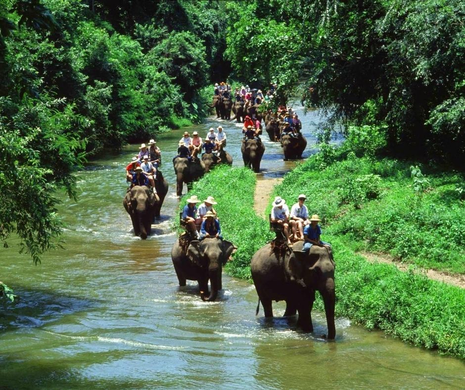 Chandaka