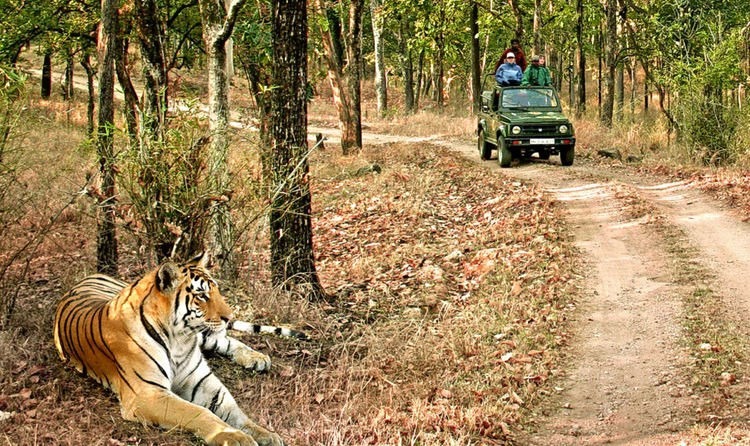 Jim Corbett National Park Uttarakhand