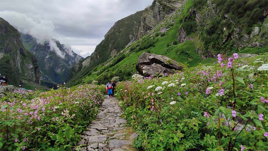 Valley of Flowers, Uttarakhand