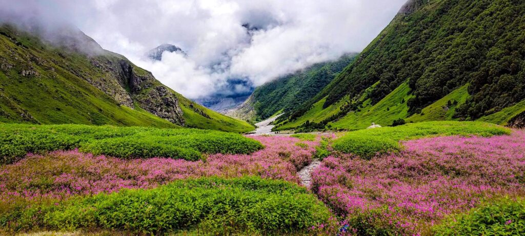 Valley of Flowers, Uttarakhand